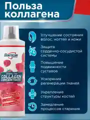 Жидкий коллаген COLLAGEN SUPPORT GeneticLab Nutrition, 500 мл