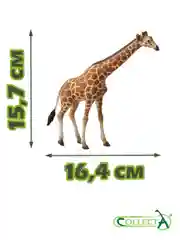 Фигурка животного Сетчатый жираф Collecta