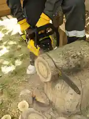 Бензопила цепная Partner for Garden GS 518 3,5 л.с, мощность 2,4 кВт, легкий запуск