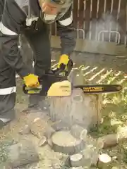 Бензопила цепная Partner for Garden GS 180 1.5 л.с, 2 кВт, 49,3 см3, лёгкий запуск