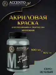 Краска художественная матовая Серо-зеленый 100мл AccentO ART