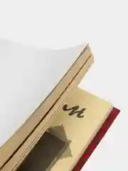 Дневник Гравити Фолз 4 и дневник Гравити Фолз 5. Уникальное издание