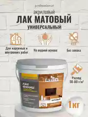 Лак акриловый матовый прозрачный, лак для дерева, лак для гипса ТМ Professional