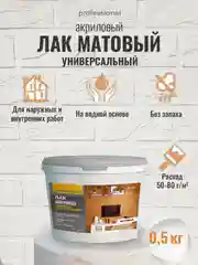 Лак акриловый матовый прозрачный, лак для дерева, лак для гипса ТМ Professional