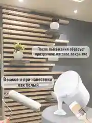Лак акриловый матовый прозрачный, лак для дерева, лак для гипса ТМ Professional