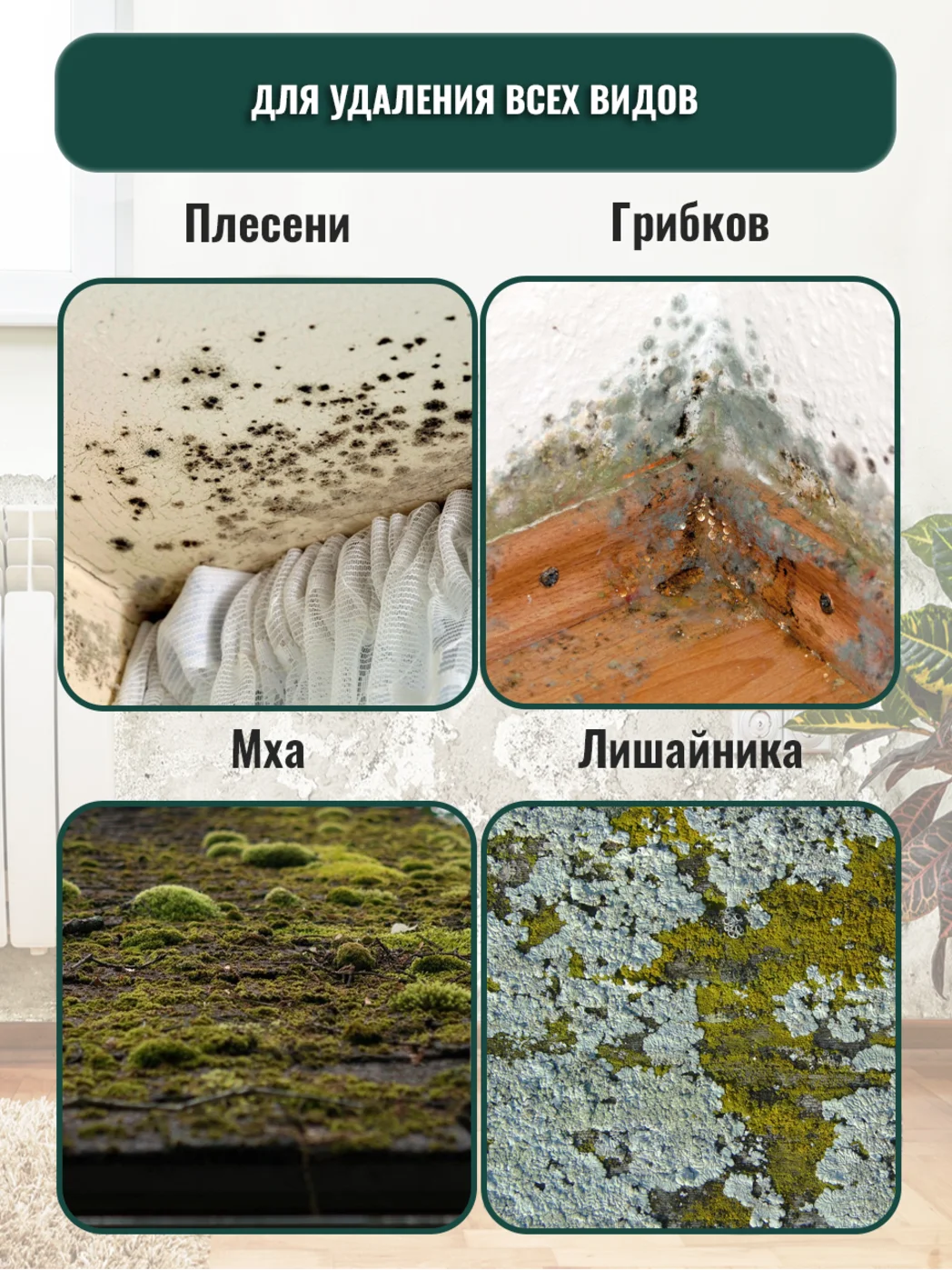 Пропитка АНТИПЛЕСЕНЬ УЛЬТРА, концентрат 1:1, PC422, средство от плесени, 1 л, ТМ Professional