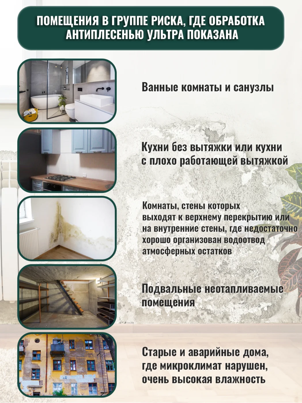 Пропитка АНТИПЛЕСЕНЬ УЛЬТРА, концентрат 1:1, PC422, средство от плесени, 1 л, ТМ Professional