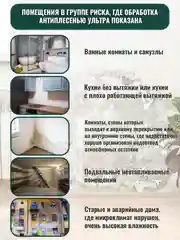Пропитка АНТИПЛЕСЕНЬ УЛЬТРА, концентрат 1:1, PC422, средство от плесени, 1 л, ТМ Professional
