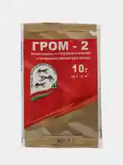 Гром-2