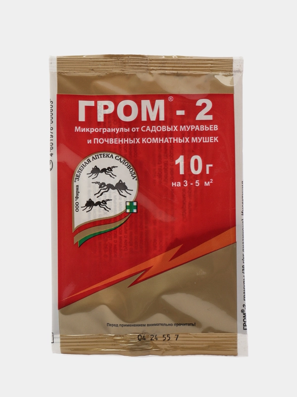 Гром-2