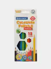 Карандаши цветные BRAUBERG PREMIUM, 12 цветов, пластиковые, шестигранные, грифель 3 мм