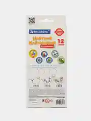 Карандаши цветные BRAUBERG PREMIUM, 12 цветов, пластиковые, шестигранные, грифель 3 мм