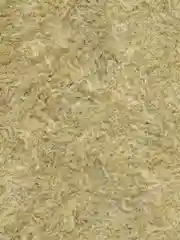 Агровата