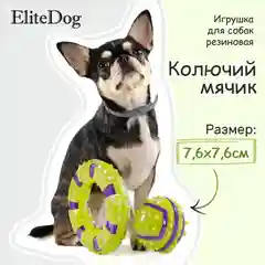 Игрушка для собак резиновая EliteDog  "Колючий мячик", зелёно-фиолетовая