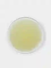 Антицеллюлитный фитнес-скраб ARAVIA Anti-Cellulite Lime Scrub, 300 мл