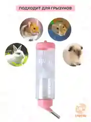 Розовый поилка для грызунов, хомяков, крыс, хорьков, шиншилл, мышей, кроликов, пластик 250мл
