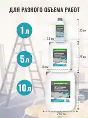 Грунтовка акриловая с антисептиком для потолков, стен, полов, 1 л, PG107 ТМ Professional