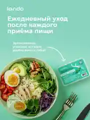 Зубные флоссеры с зубочистками Lando 50 шт со вкусом мяты