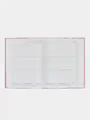 Розовый школьный дневник, Аниме, 1-11 класс, твердая обложка