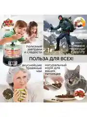 Электрическая сушилка для овощей и фруктов GFD-002, 5 уровней, поддон для пастилы