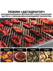 Многофункциональная мини-печь GFAO-700 с функцией аэрогриля, шашлычницей, вертелом