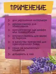 Букет лаванды крымской, сухоцвет для декора