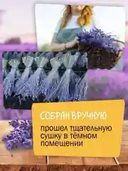 Букет лаванды крымской, сухоцвет для декора