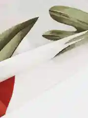 Зеленый наволочки на подушки  для сна ,Размер - 70/70,Ткань - сатин,В упаковке - 2шт