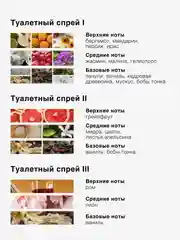 Туалетный спрей ароматизатор парфюмированный Mui Thom