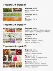 Туалетный спрей ароматизатор парфюмированный Mui Thom