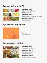 Туалетный спрей ароматизатор парфюмированный Mui Thom