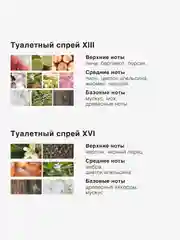 Туалетный спрей ароматизатор парфюмированный Mui Thom