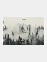 Альбом для рисования Brauberg Туман, 107033, в школу А4 40 л, плотная бумага 160 г м2