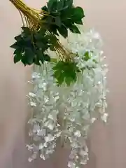 Глициния искусственная