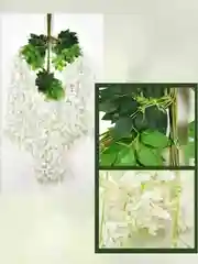Глициния искусственная