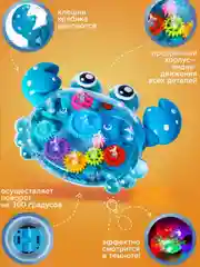 Прозрачный краб, интерактивный, детские развивающие игрушки