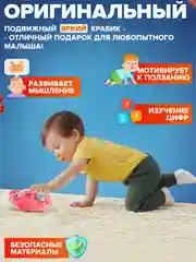 Прозрачный краб, интерактивный, детские развивающие игрушки