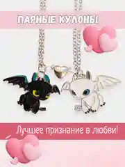 Парные кулоны на цепочке "Ночная фурия" с магнитом/ Символ года 2024