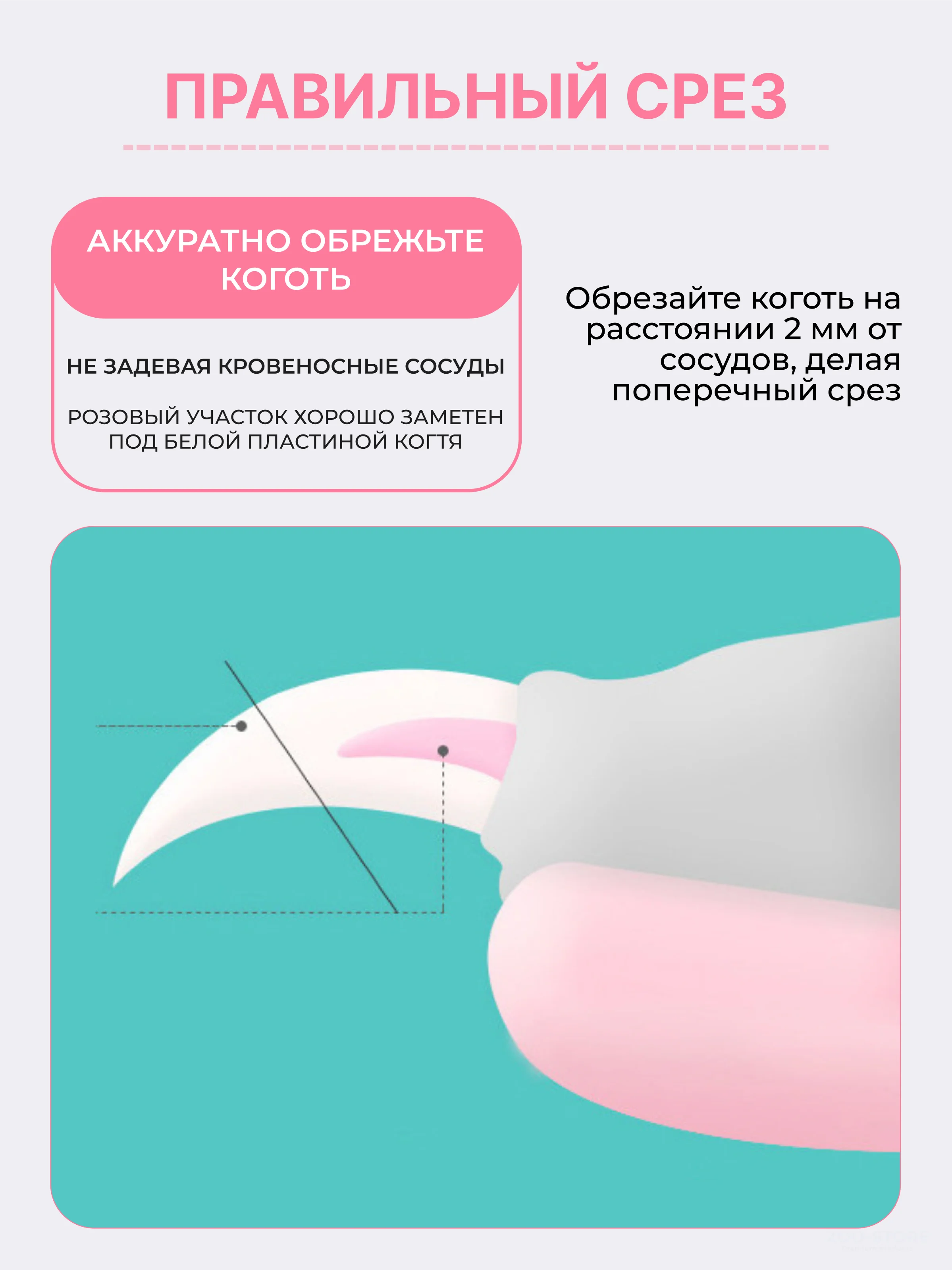 Розовый когтерезка-ножницы для стрижки когтей, кошек, собак, животных, когтерез кусачки грызунов