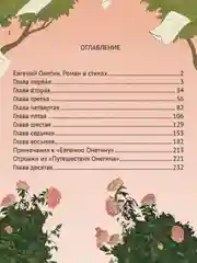 Книга Проф-Пресс А.С. Пушкин. Евгений Онегин, 240 стр твердая обложка