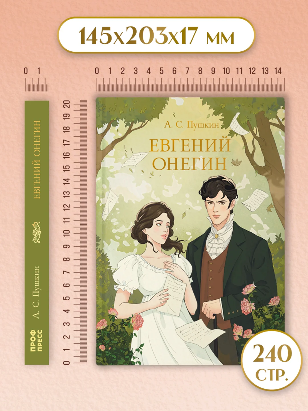 Книга Проф-Пресс А.С. Пушкин. Евгений Онегин, 240 стр твердая обложка