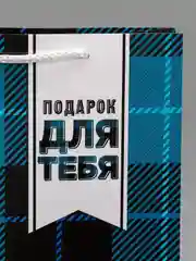 Пакет подарочный "Real man", 31 х 40 х 11,5 см