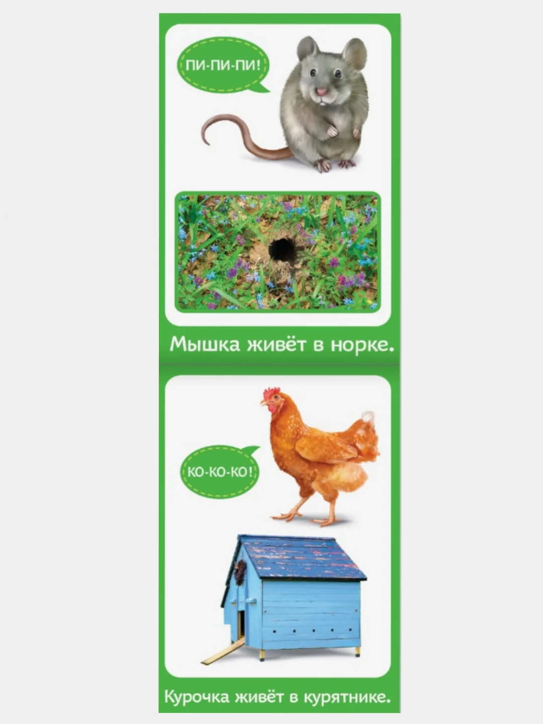 Набор развивающих книжек "Растем вместе" 8 штук 20 страниц