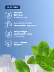 Спрей PRESIDENT "Mint" Ментол,без спирта, 20 мл