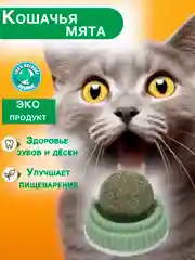 Игрушка кошачья мята, для кошек, шарик-лакомство, с кошачьей мятой