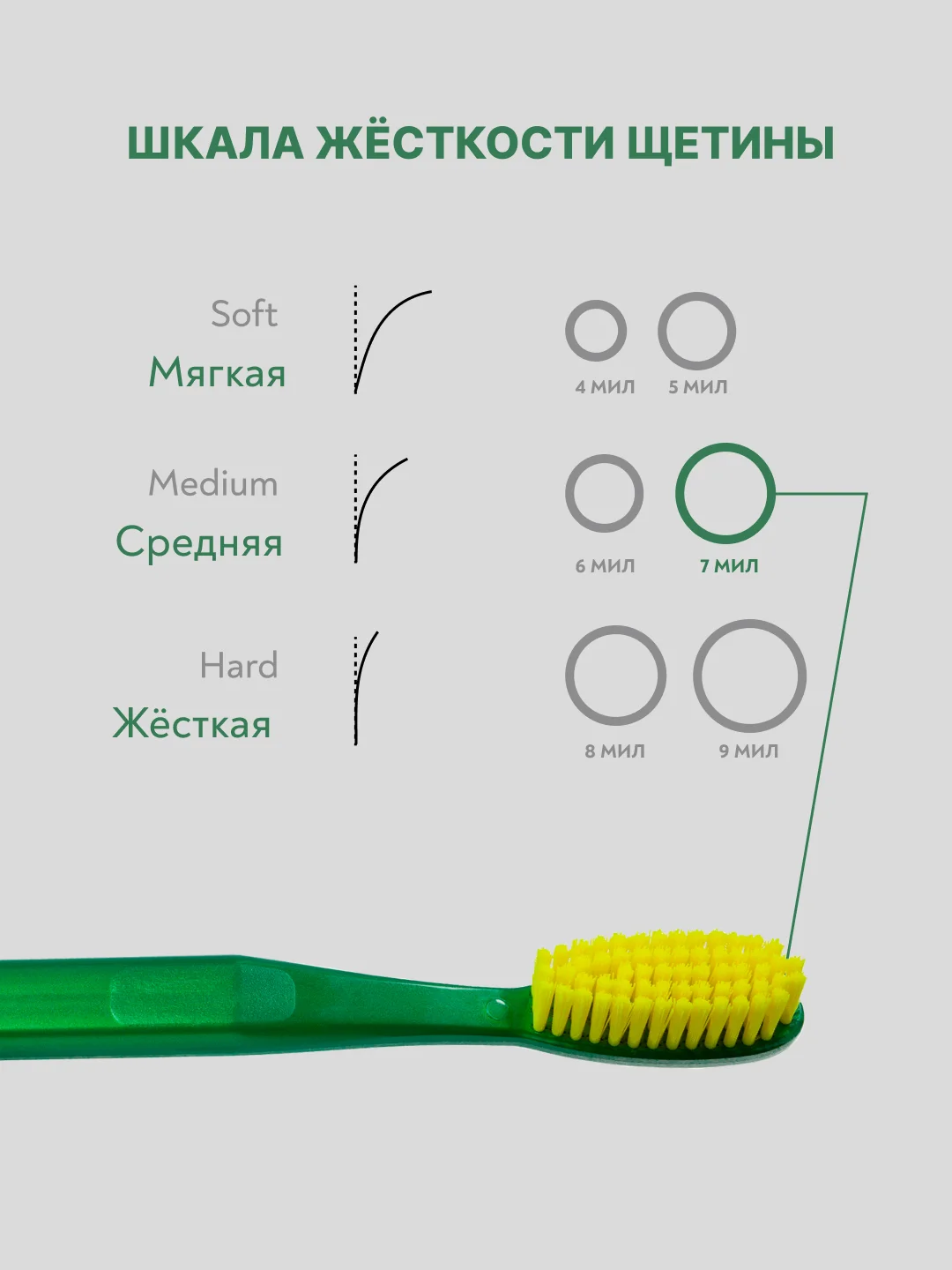 Зубная щетка PRESIDENT Classic Medium, средней жесткости