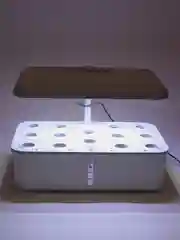 Умная домашняя грядка с WiFi