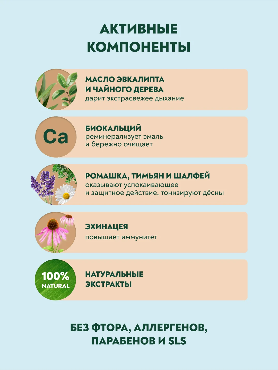 Зубная паста PRESIDENT Eco-bio Натуральная, 75 г