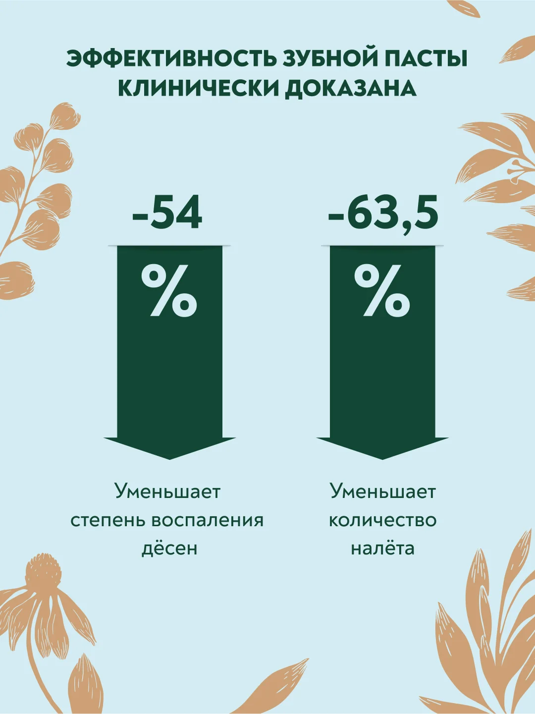 Зубная паста PRESIDENT Eco-bio Натуральная, 75 г