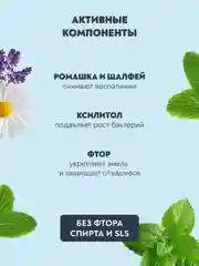 Ополаскиватель PRESIDENT Classic, 250 мл